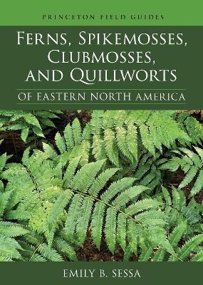 Ferns, Spikemosses, Clubmosses, and Quillworts of Eastern North America - Emily Sessa