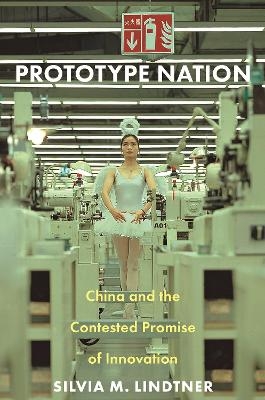 Prototype Nation - Silvia M. Lindtner