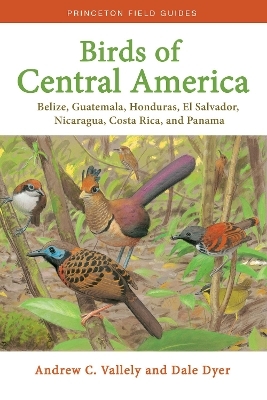 Birds of Central America - Andrew Vallely, Dale Dyer