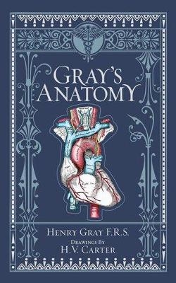 Gray's Anatomy (Barnes & Noble Collectible Editions) - Henry Gray