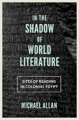 In the Shadow of World Literature - Michael Allan