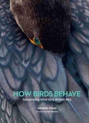 How Birds Behave - Wenfei Tong
