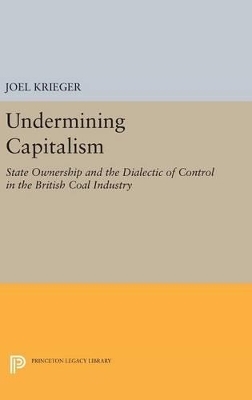 Undermining Capitalism - Joel Krieger
