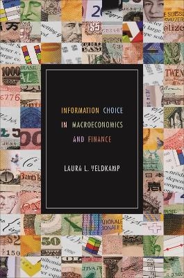 Information Choice in Macroeconomics and Finance - Laura L. Veldkamp