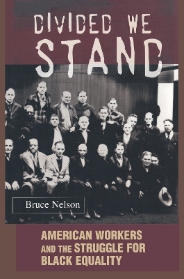 Divided We Stand - Bruce Nelson