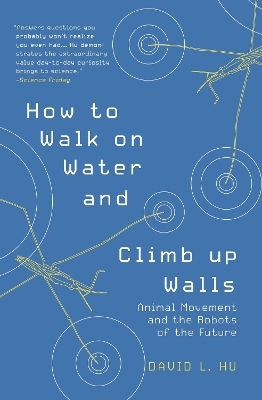 How to Walk on Water and Climb up Walls - David Hu