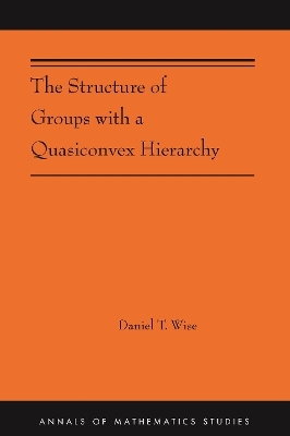 The Structure of Groups with a Quasiconvex Hierarchy - Daniel T. Wise