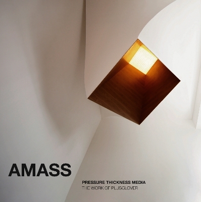 Amass: Pressure Thickness Media - Lee Pope Roberge