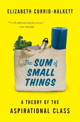 The Sum of Small Things - Elizabeth Currid-Halkett