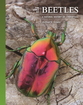 The Lives of Beetles - Arthur V. Evans