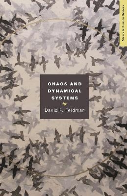 Chaos and Dynamical Systems - David P. Feldman