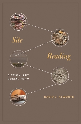 Site Reading - Professor David J. Alworth