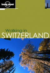 Walking in Switzerland - Lindenmayer, Clem