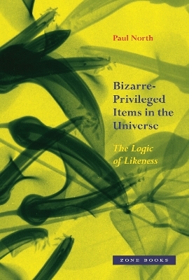 Bizarre–Privileged Items in the Universe – The Logic of Likeness - Paul North