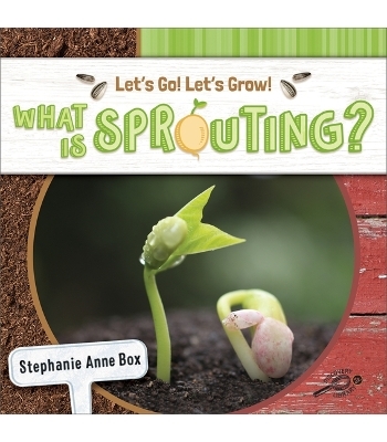 What Is Sprouting? - Stephanie Anne Box