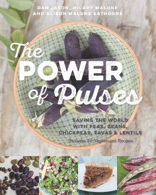 The Power of Pulses - Dan Jason, Hilary Malone, Alison Malone Eathorne