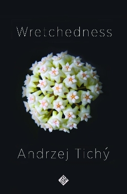 Wretchedness - Andrzej Tichy