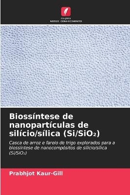 Bioss�ntese de nanopart�culas de sil�cio/s�lica (Si/SiO₂) - Prabhjot Kaur-Gill