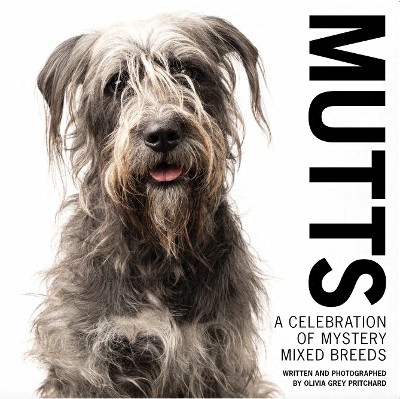 MUTTS - 