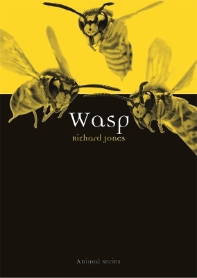Wasp - Richard Jones