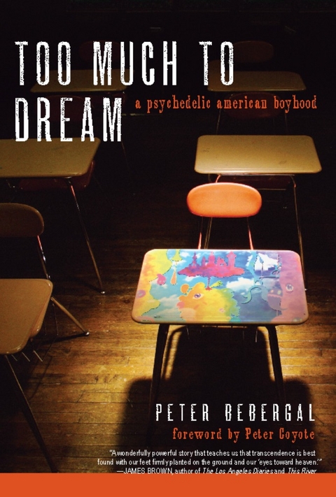 Too Much to Dream -  Peter Bebergal