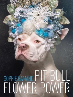 Pit Bull Flower Power - Sophie Gamand