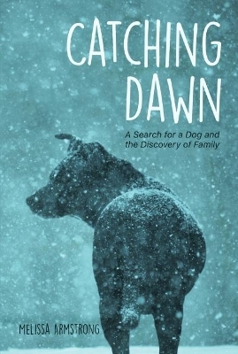 Catching Dawn - Melissa Armstrong