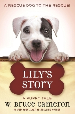 Lily's Story - W Bruce Cameron