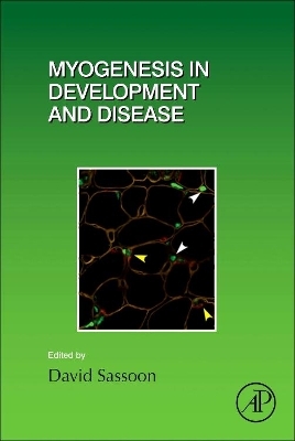 Myogenesis in Development and Disease - 