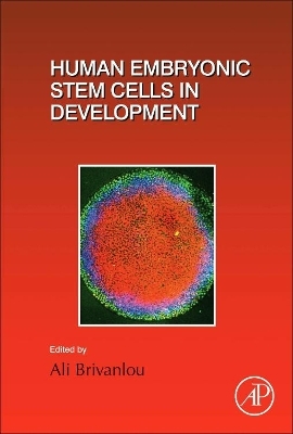 Human Embryonic Stem Cells in Development - 