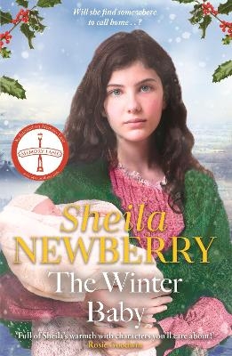 The Winter Baby - Sheila Newberry