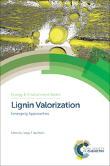 Lignin Valorization - 