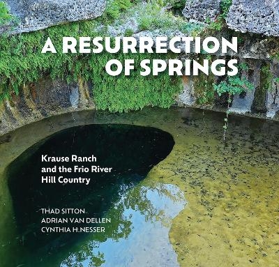 A Resurrection of Springs - Thad Sitton, Adrian F. Van Dellen, Cynthia Nesser