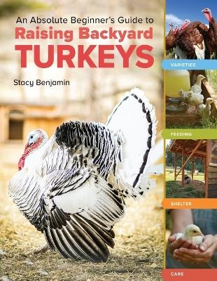 An Absolute Beginner's Guide to Raising Backyard Turkeys - Stacy Benjamin