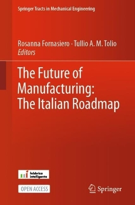 The Future of Manufacturing: The Italian Roadmap - 