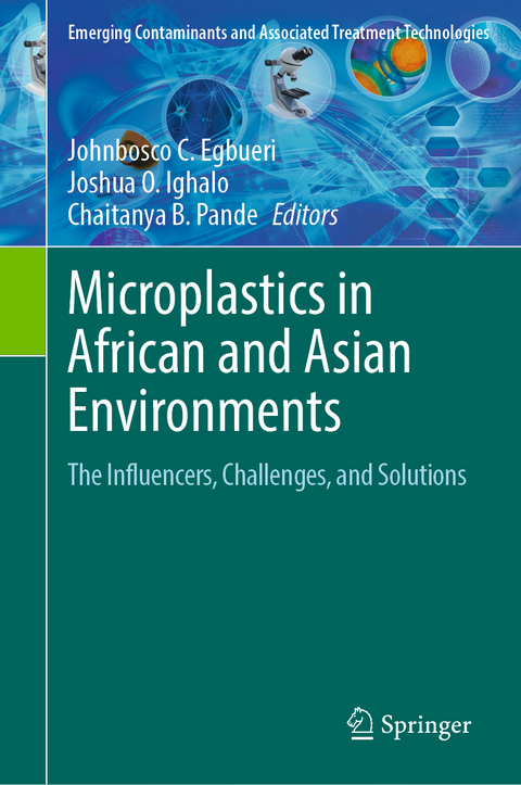 Microplastics in African and Asian Environments - 
