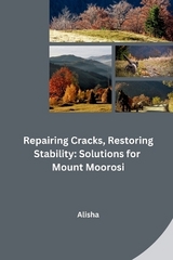 Repairing Cracks, Restoring Stability: Solutions for Mount Moorosi -  Alisha