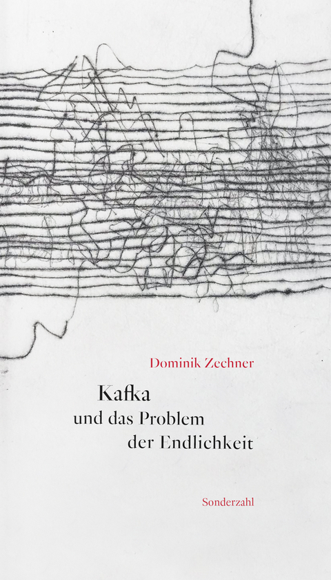 Kafka und das Problem der Endlichkeit - Dominik Zechner