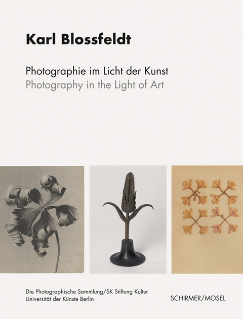 Photographie im Licht der Kunst / Photography in the Light of Art - Karl Blossfeldt