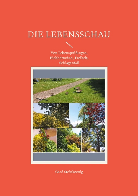 Die Lebensschau - Gerd Steinkoenig