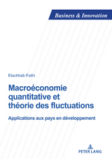 Macroéconomie quantitative et théorie des fluctuations - Elachhab Fathi