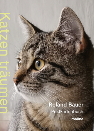 Katzen träumen - Roland Bauer