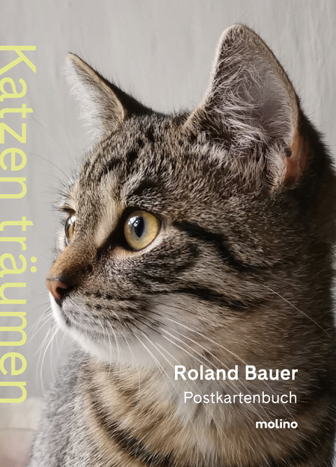 Katzen träumen - Roland Bauer