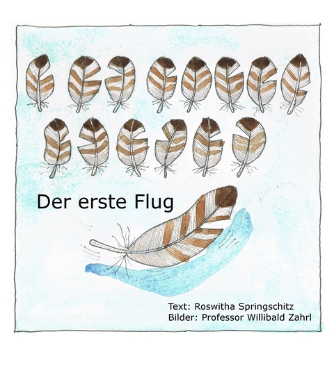 Der erste Flug -  Roswitha Springschitz