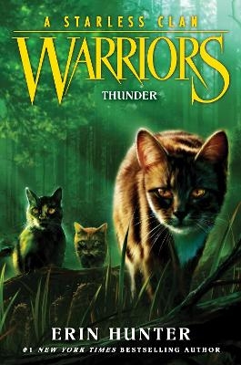 Warriors: A Starless Clan #4: Thunder - Erin Hunter