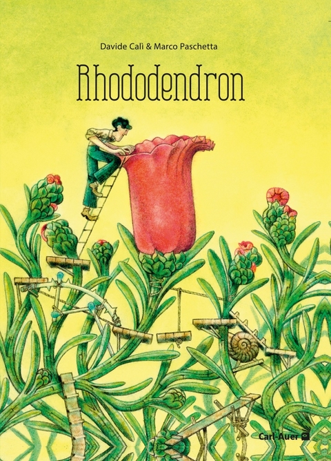 Rhododendron - Davide Calì