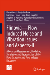 Flinovia—Flow Induced Noise and Vibration Issues and Aspects-II - 