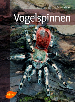 Vogelspinnen - Peter Klaas