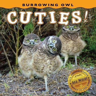 Burrowing Owl Cuties! -  Farcountry Press