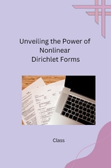 Unveiling the Power of Nonlinear Dirichlet Forms -  Class